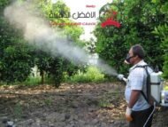 شركة رش مبيدات