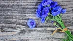 flowers wood banner شركة الافضل الماسية للتشغيل والصيانة