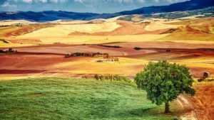 green land banner شركة الافضل الماسية للتشغيل والصيانة