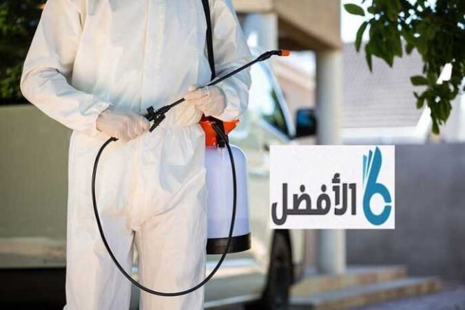 شركة مكافحة حشرات بالدمام شركة مكافحة حشرات بالدمام