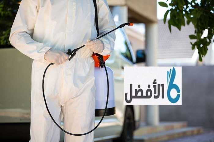 شركة مكافحة حشرات بالدمام