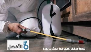 شركة مكافحة حشرات بجدة