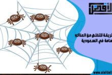 أفضل طريقة للتخلص من العناكب السامة في السعودية