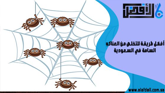 أفضل طريقة للتخلص من العناكب السامة في السعودية
