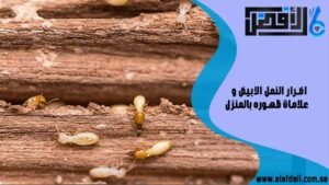 اضرار النمل الابيض وعلامات ظهوره بالمنزل