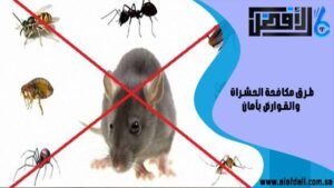 طرق مكافحة الحشرات والقوارض بأمانV