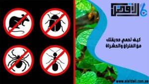 كيف تحمي حديقتك من الفئران والحشرات