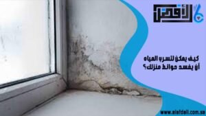 كيف يمكن لتسرب المياه أن يفسد حوائط منزلك؟