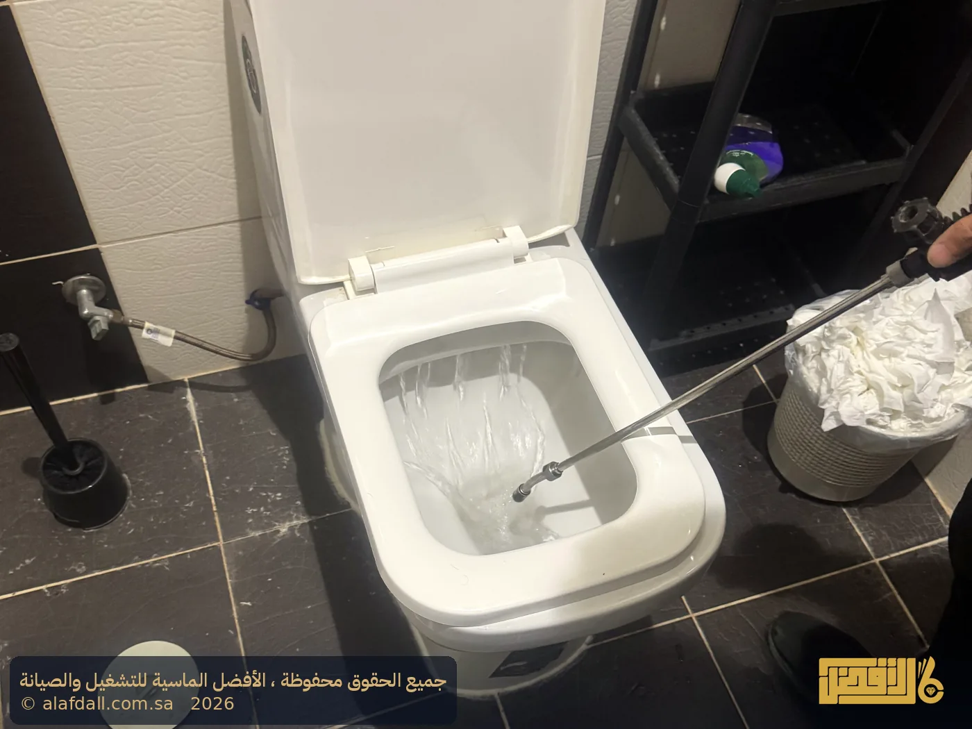 مكافحة حشرات بالرياض - صورة 2