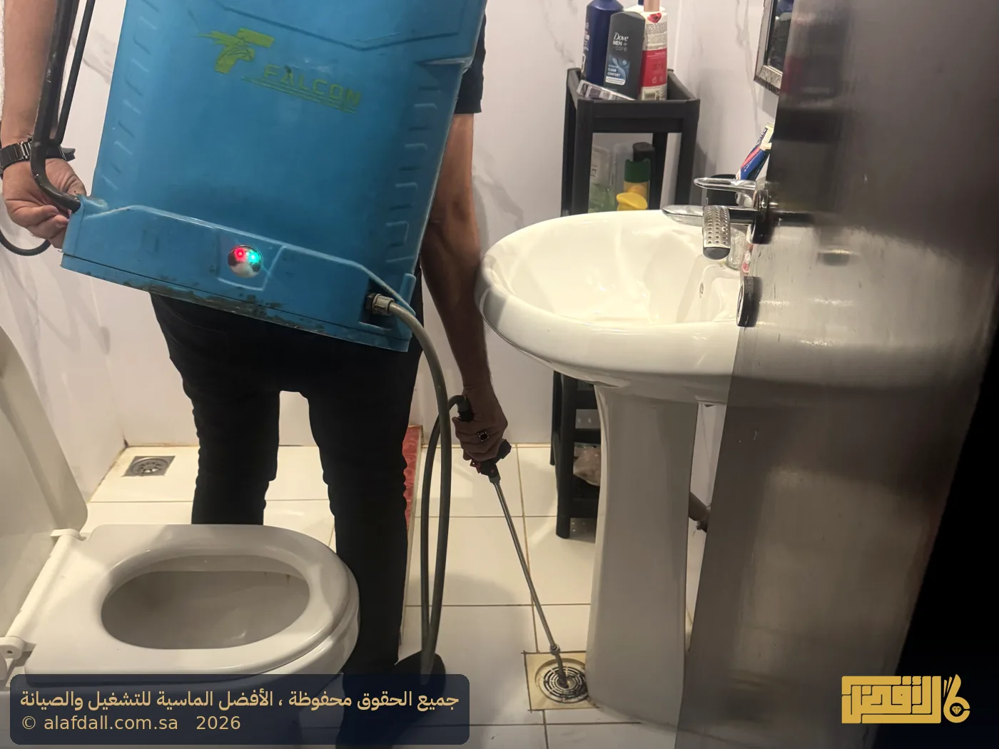 مكافحة حشرات بالرياض - صورة 4