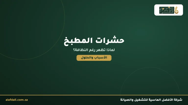 لماذا تظهر الحشرات في المطبخ رغم النظافة؟