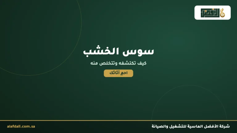 حشرة سوس الخشب: كيف تتعرف عليها وتتخلص منها قبل تدمير أثاثك