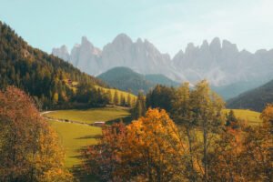 natures 01 شركة الافضل الماسية للتشغيل والصيانة