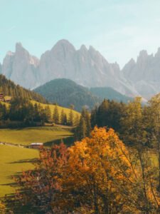 natures 02 شركة الافضل الماسية للتشغيل والصيانة