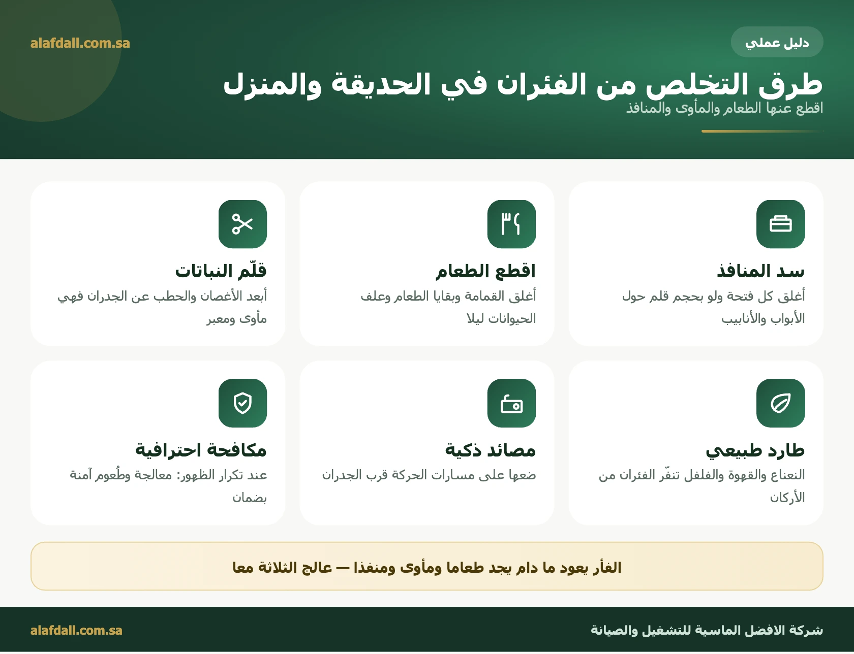 كيف تحمي حديقتك من الفئران والحشرات طرق التخلص من الفئران في الحديقة والمنزل - شركة الافضل الماسية