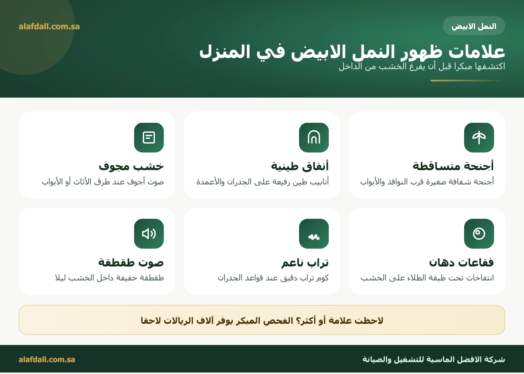 علامات ظهور النمل الابيض - شركة الافضل الماسية