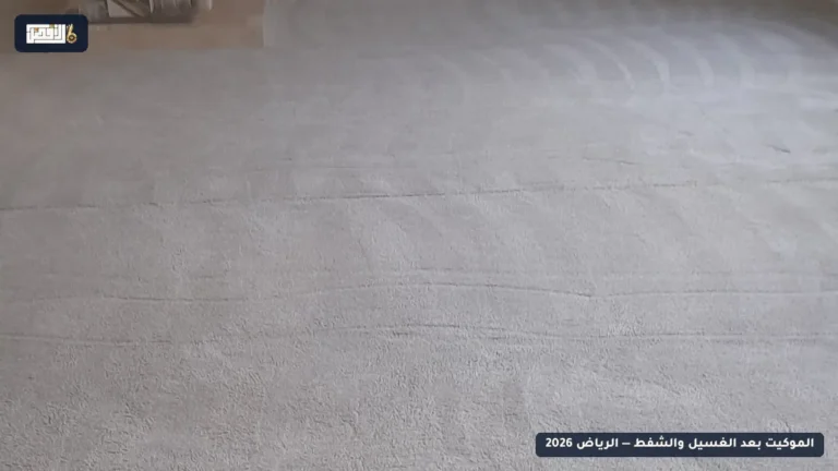 كم مرة يجب تنظيف الموكيت والسجاد في السنة؟ دليل حسب نوع المكان